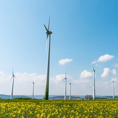 wind-turbines-in-field